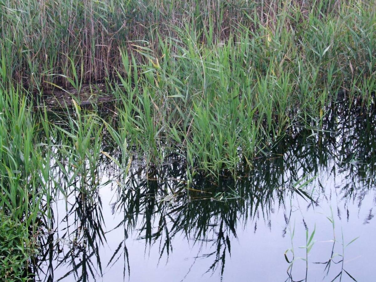 Penzion Casa Lagoa Verde Esmoriz Exteriér fotografie