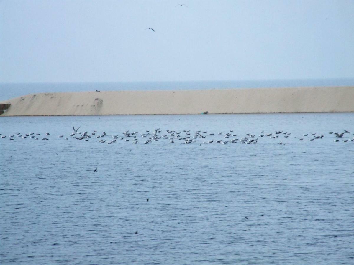 Casa Lagoa Verde Esmoriz Exteriér fotografie