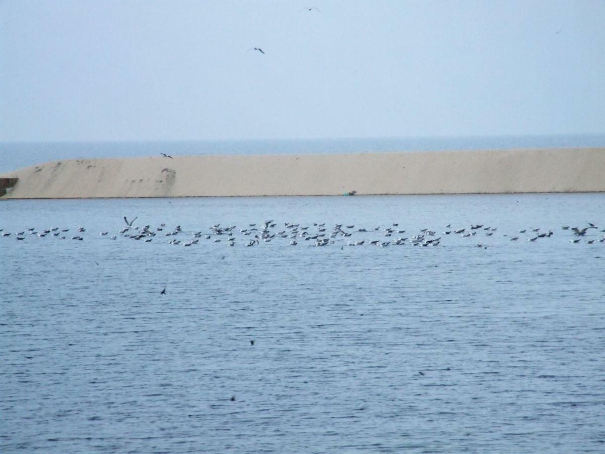 Penzion Casa Lagoa Verde Esmoriz Exteriér fotografie