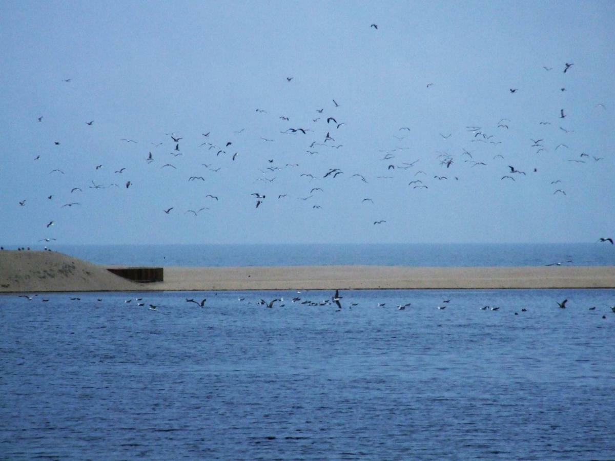 Penzion Casa Lagoa Verde Esmoriz Exteriér fotografie